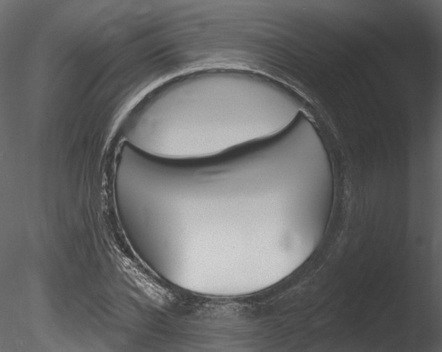 X0000085820926200703161052