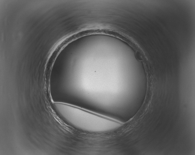 X0000085820927200703161052