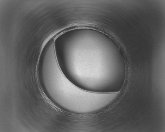 X0000085820928200703161052