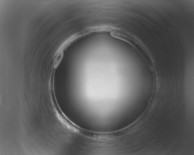X0000085820946200703161052