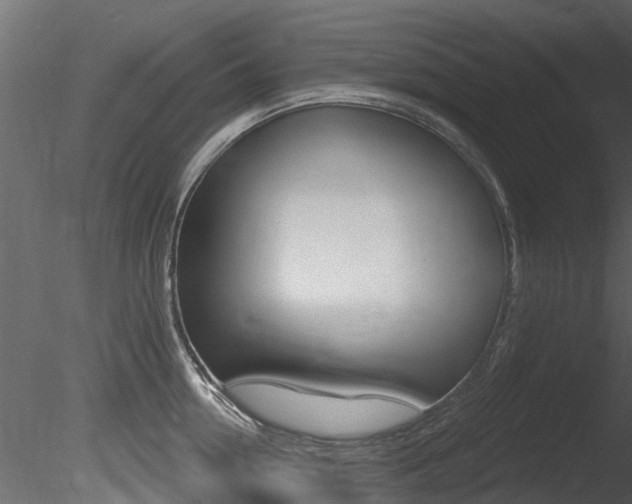 X0000085820954200703161052
