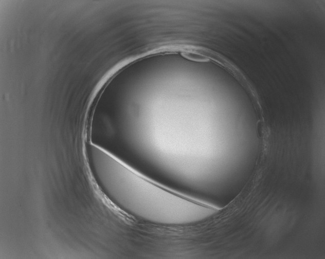 X0000085820955200703161052