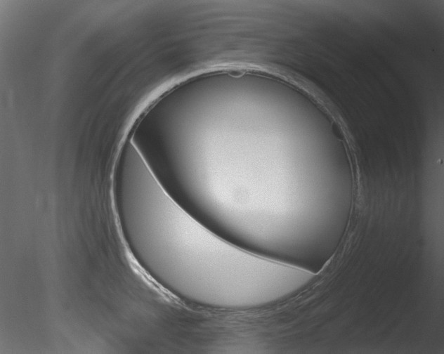 X0000085820958200703161052