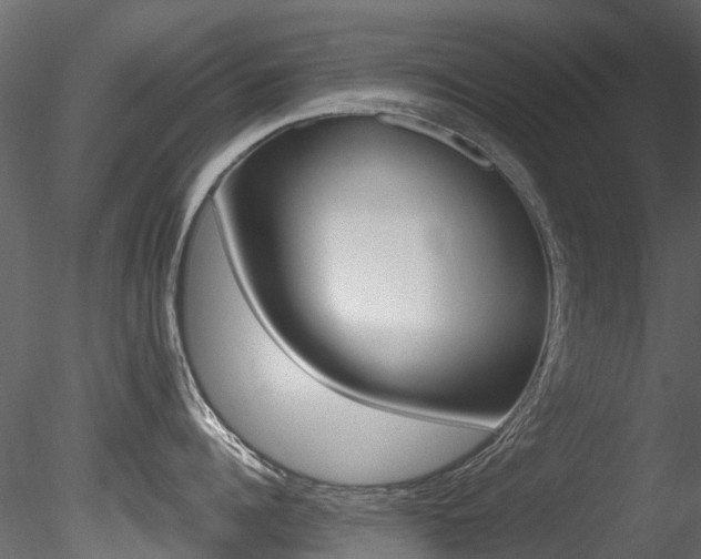 X0000085820960200703161052