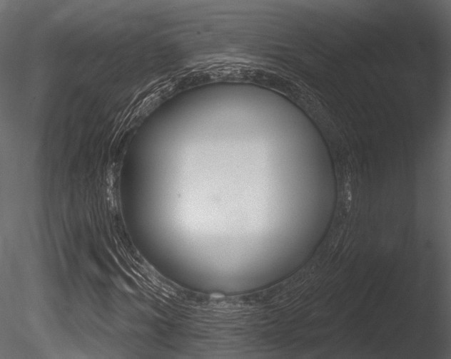 X0000085820964200703161051
