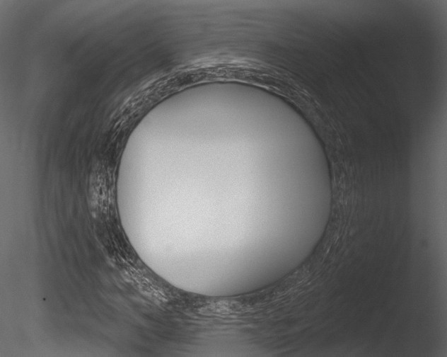 X0000085820966200703161051