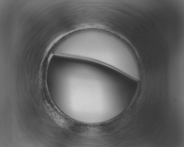 X0000085820975200703161051