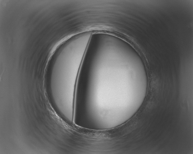 X0000085820979200703161051