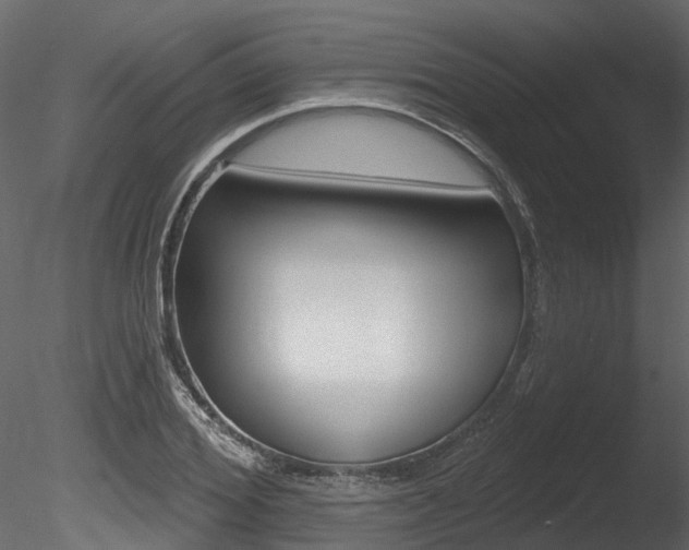 X0000085820980200703161051