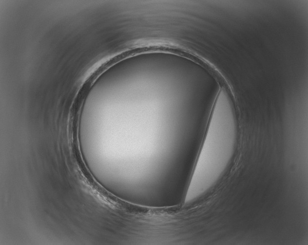 X0000085820983200703161051