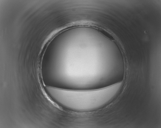 X0000085820989200703161051