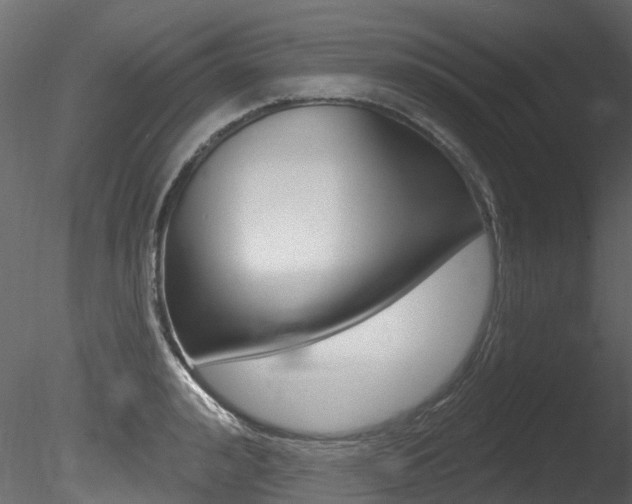 X0000085820992200703161051