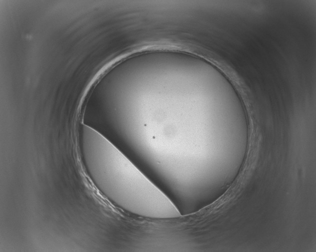 X0000085821008200703161051