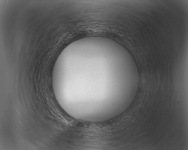 X0000085821009200703161050