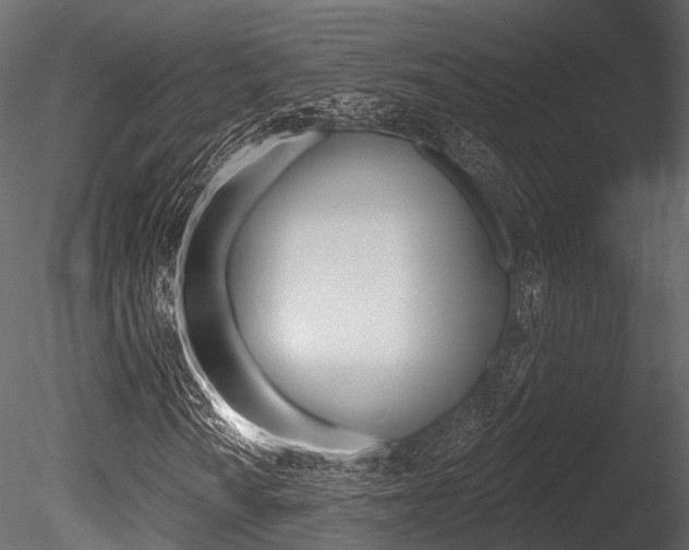 X0000085821010200703161050