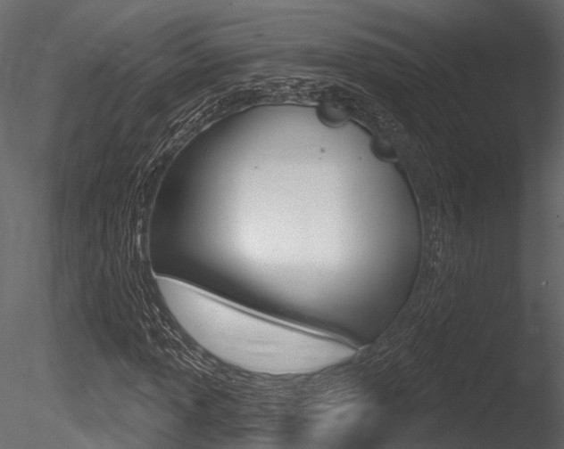 X0000085821013200703161050