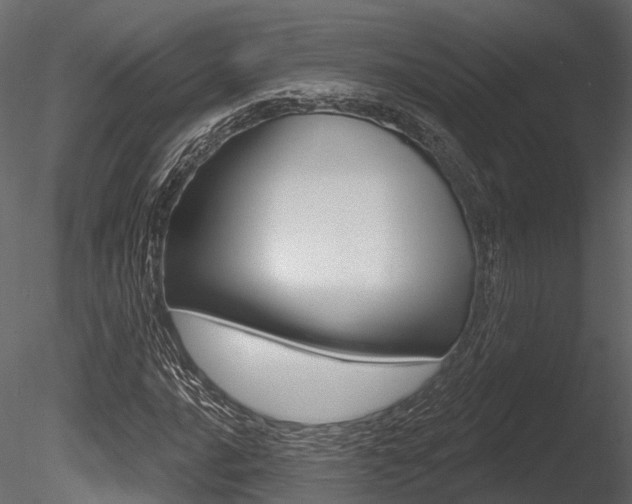 X0000085821016200703161050
