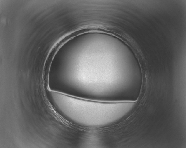 X0000085821020200703161050