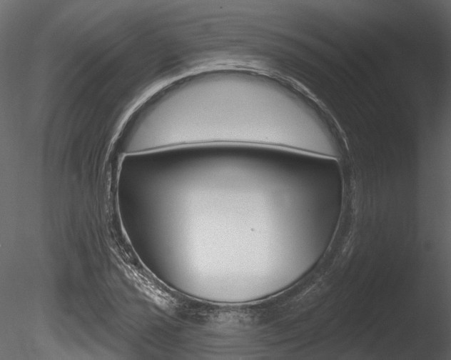 X0000085821021200703161050