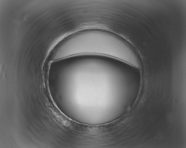 X0000085821022200703161050
