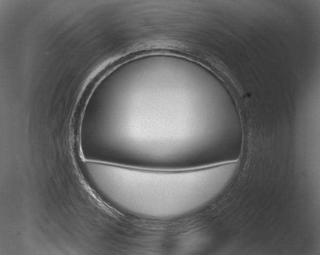 X0000085821024200703161050