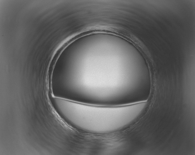 X0000085821028200703161050