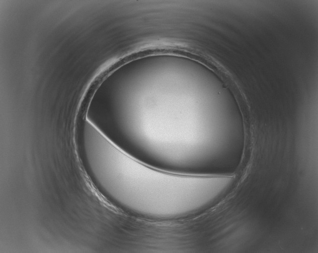 X0000085821029200703161050
