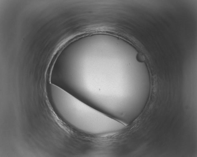 X0000085821031200703161050