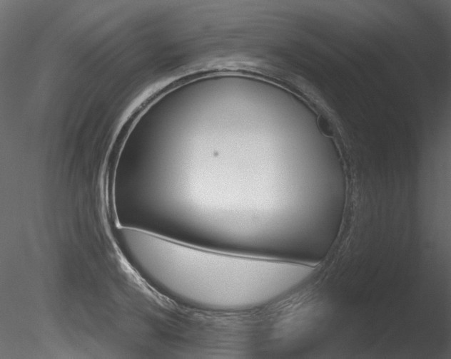 X0000085821032200703161050