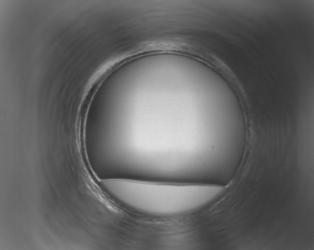 X0000085821035200703161050