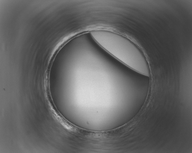 X0000085821040200703161050