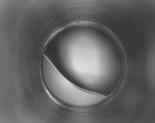 X0000085821041200703161050