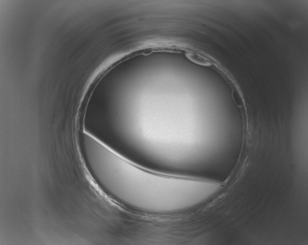 X0000085821045200703161050