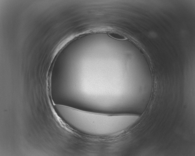 X0000085821047200703161050