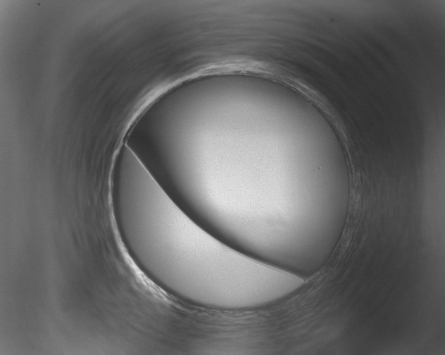 X0000085821055200703161051