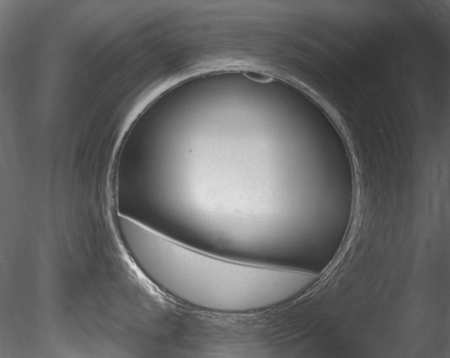 X0000085821056200703161051
