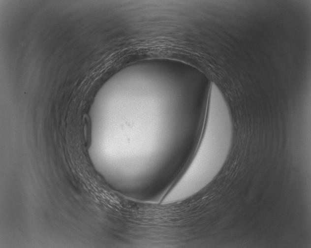 X0000085821057200703161050