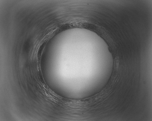 X0000085821060200703161050