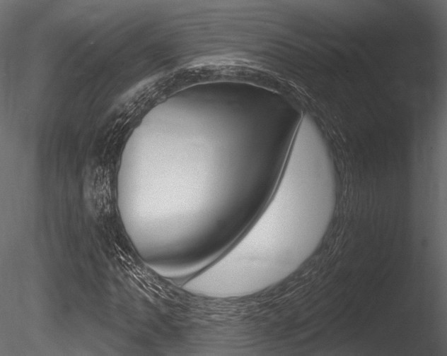 X0000085821062200703161050