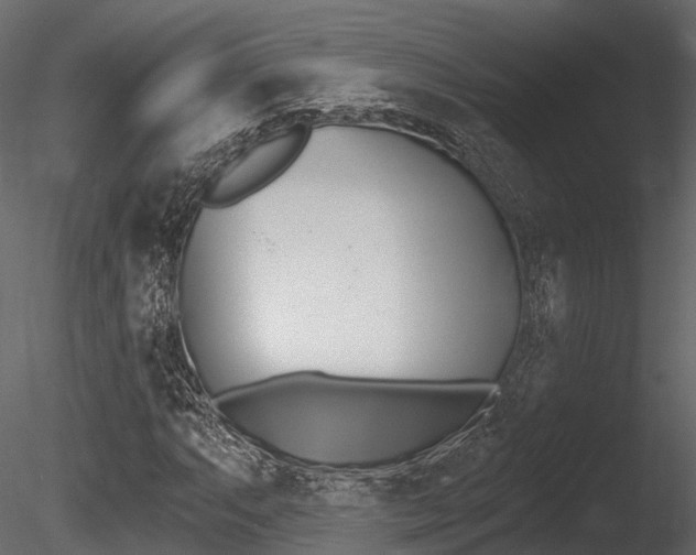 X0000085821063200703161050