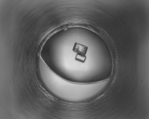 X0000085821065200703161050
