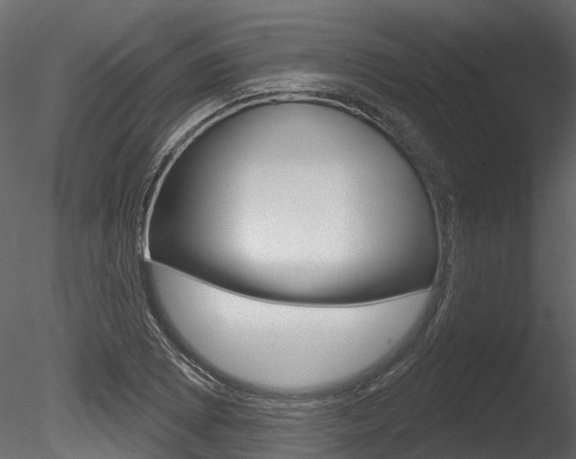 X0000085821073200703161049