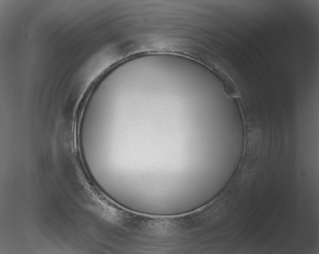 X0000085821079200703161049