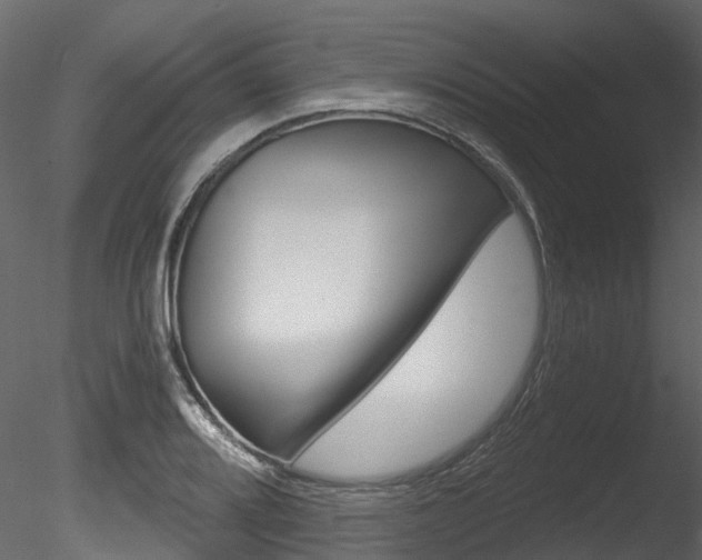 X0000085821080200703161049