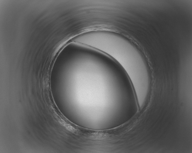 X0000085821081200703161049