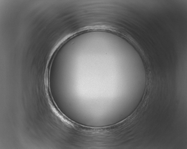 X0000085821084200703161049