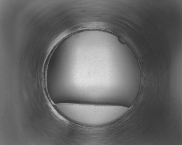 X0000085821087200703161049