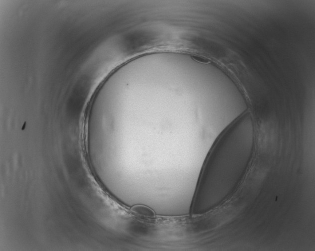 X0000085821099200703161049