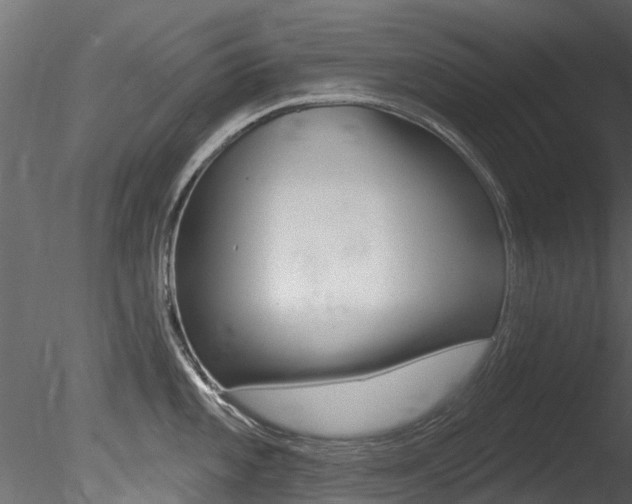 X0000085821101200703161049