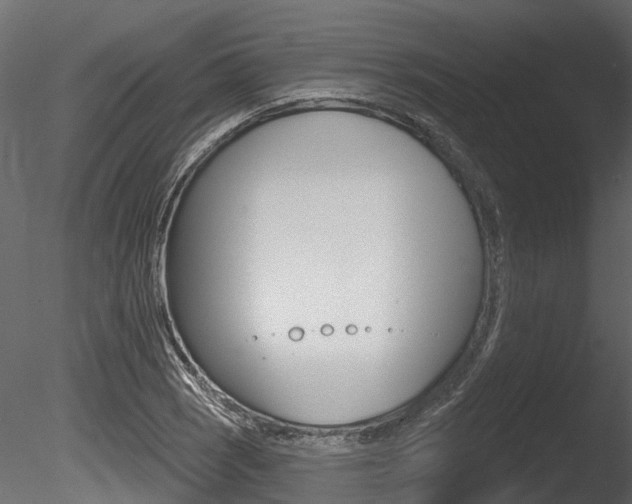 X0000085821121200703161048